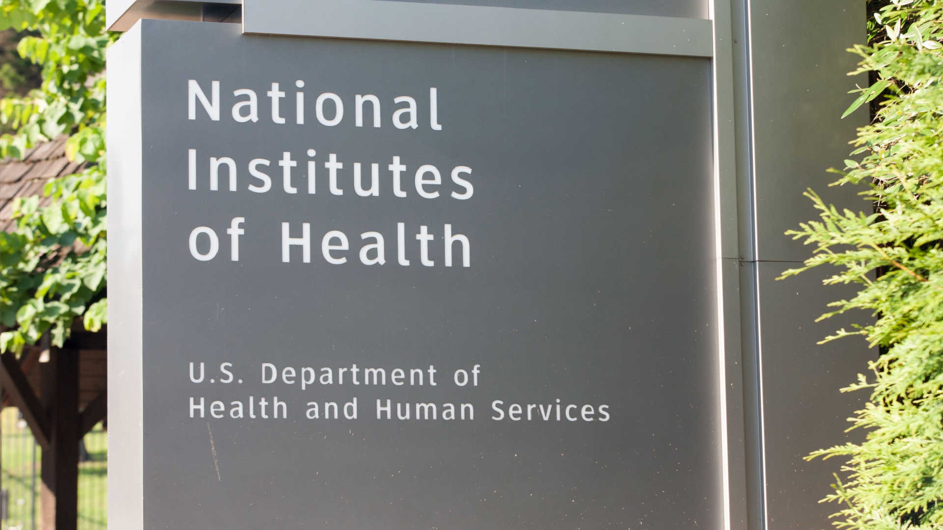 national institutes health mental trauma childhood social emotional learning criminal restorative justice HHS robert f. kennedy jr. RFK human services