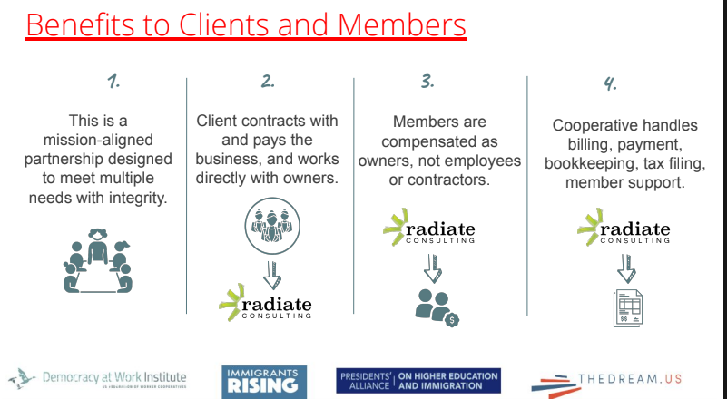 radiate consulting pass through entity
