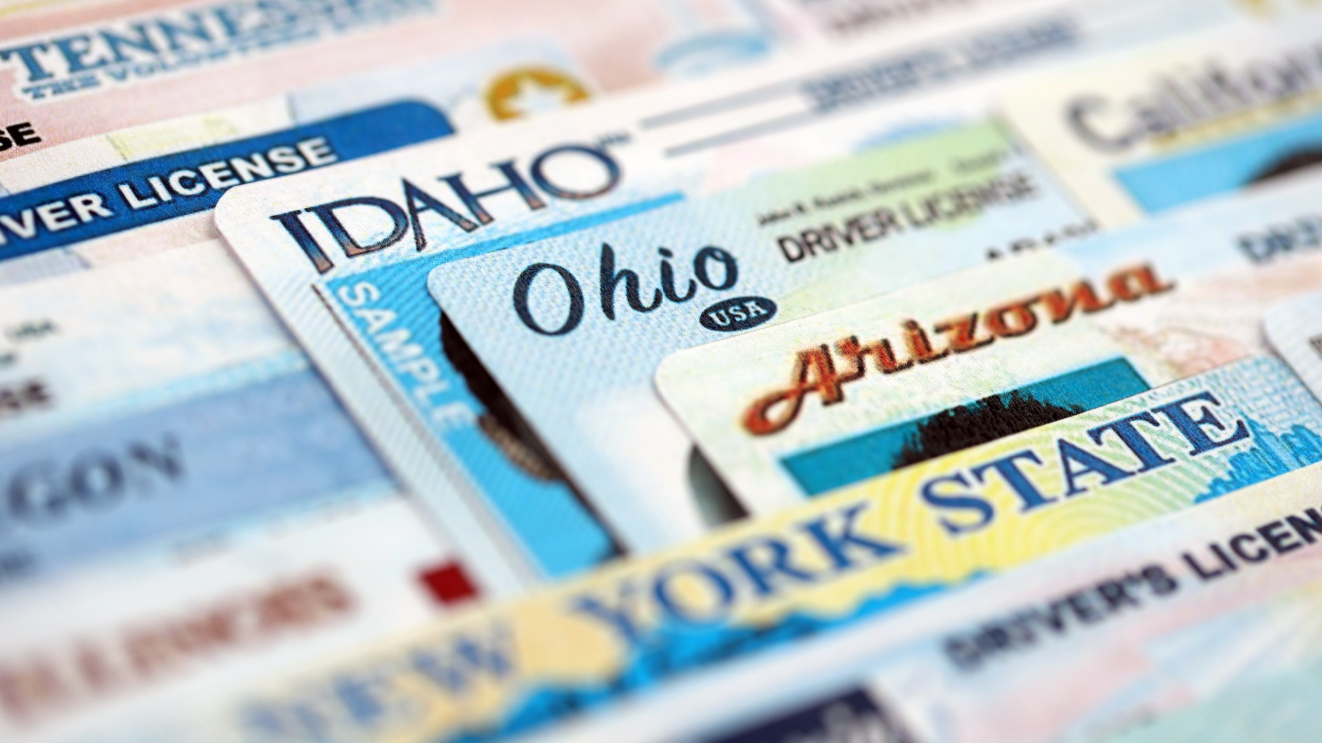 WISCONSIN: Democrats are Out of Touch with Their Own Base on Voter ID