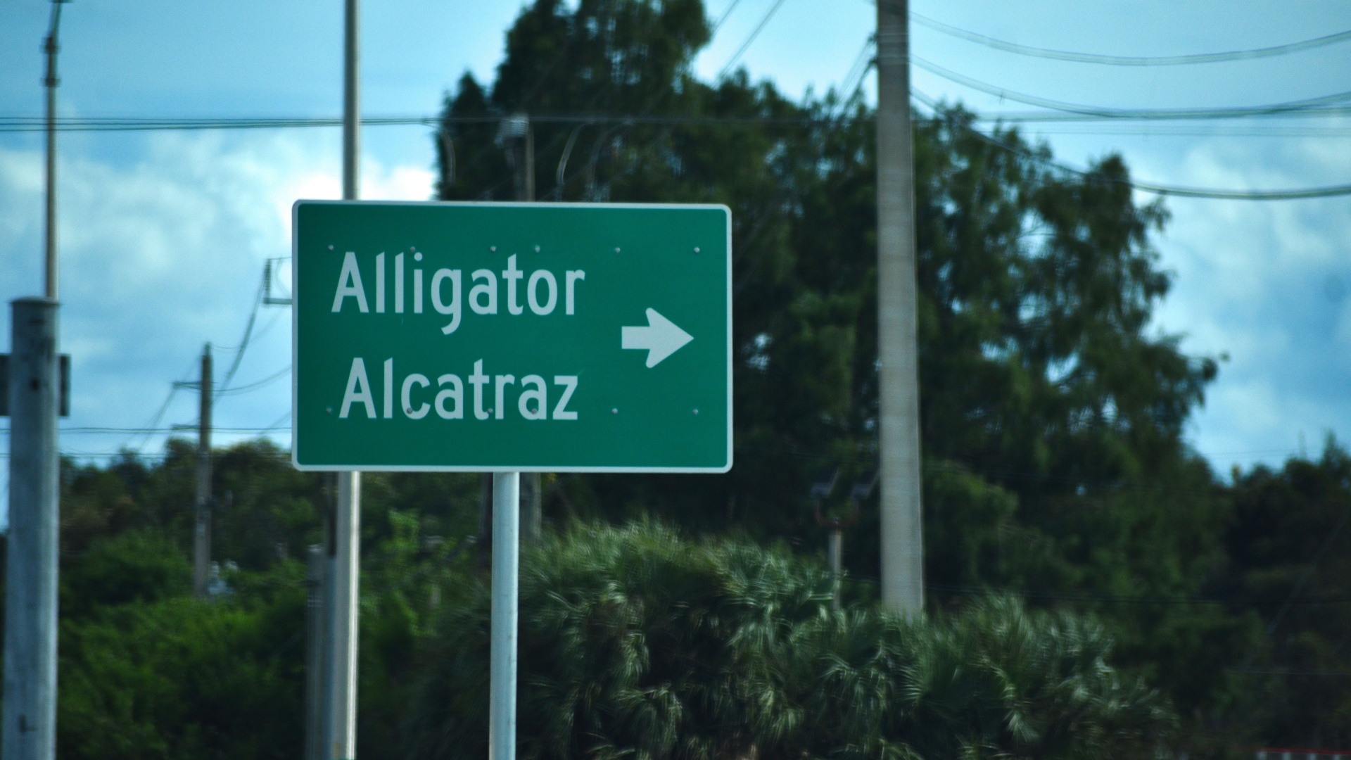 The Fake Grassroots Network Targeting 'Alligator Alcatraz' Contractor