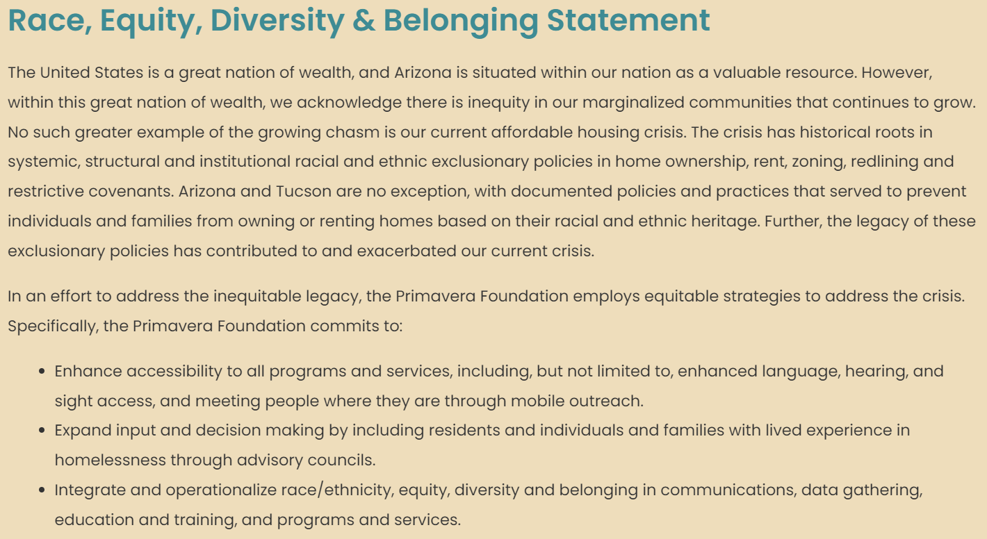 dei-statement-primavera-foundation.png